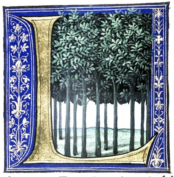 Trees image from Douce Pliny