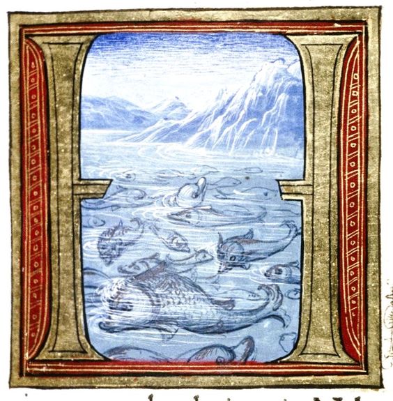 Under the sea image from Douce Pliny