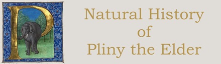Natural History of Pliny the Elder